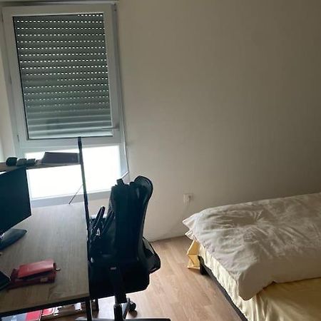 Grand Appartement Entier Situe A Aulnay-Sous-Bois Kültér fotó